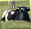 Agricultura