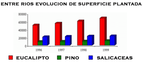 Entre Ríos Evolución de Superficie Plantada