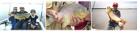 Pesca en el Río Paraná