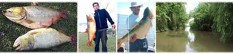 Pesca en el Río Paraná